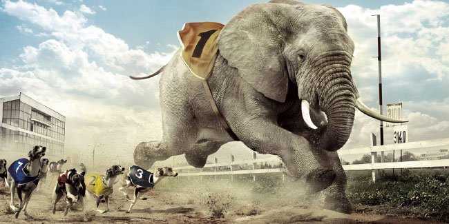 edifference's tweet image. Er zijn grote veranderingen in de e-commerce. Onze Johan geeft je 5 tips om te overleven in een disruptief landschap! ↗️ bit.ly/ed-landschap