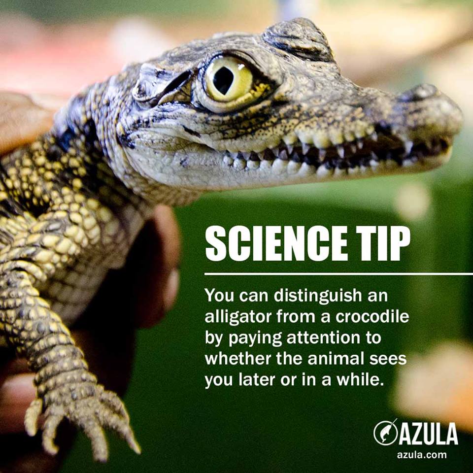 VictoriaHowse's tweet photo. Fun "science" tip for the week thanks to @azula https://t.co/YZQH8KQvD4