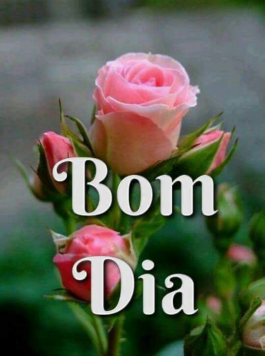 <a href="/wagnereduardo57/">ωagner♌timBeta✴SDV✴</a> <a href="/GallanAllan/">Allan Gallan</a> <a href="/Eliana_TimBetaL/">Eliana Tim Beta Lab</a> <a href="/GuVaer_/">GUUH..(#BETALAB)#SDV</a>  <a href="/jaqulineTimBeta/">Jaque TIM BETA SDV</a>