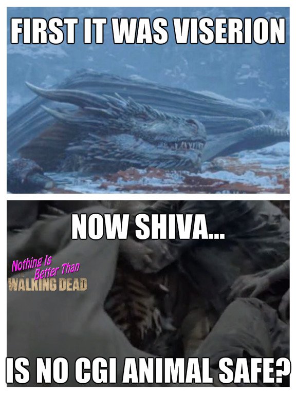 Than_TWD's tweet photo. Who's next?
#TWD #GOT #RIPShiva #RIPViserion #Shiva https://t.co/IQVE5UG5b3