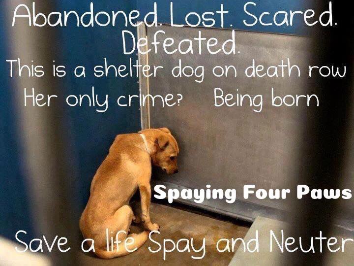 Treasure Chest Dealz (ambersaves) Twitter