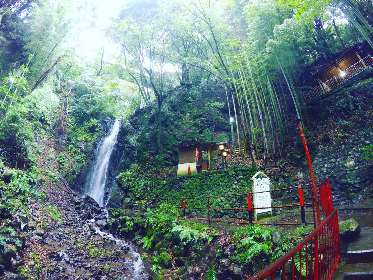 Izumin Travel And Lifestyle Photo Blogger 湯河原観光女子旅 癒し場 湯河原 で 貸切温泉を満喫 名所やパワースポットも巡ってリフレッシュ 湯河原温泉は 肌がきれいになる 美人の湯 不動滝 柏槙 びゃくしん 湯河原湯楽 の情報を要