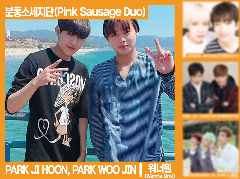 [RT it!] Pick the best idol member line that has perfect harmony! 아이돌 그룹 최고 케미 멤버라인은? #PARKJIHOON #PARKWOOJIN #박지훈 #박우진 #분쏘단 #WannaOne