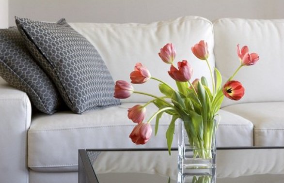 ¿Sabías que las flores y las plantas no son meramente estéticas o de decoración en ambiente interiores? Está comprobado que te ofrecen diversas ventajas y que vale la pena tenerlas a la vista en cualquier ambiente. 
mejorconsalud.com/beneficios-de-…