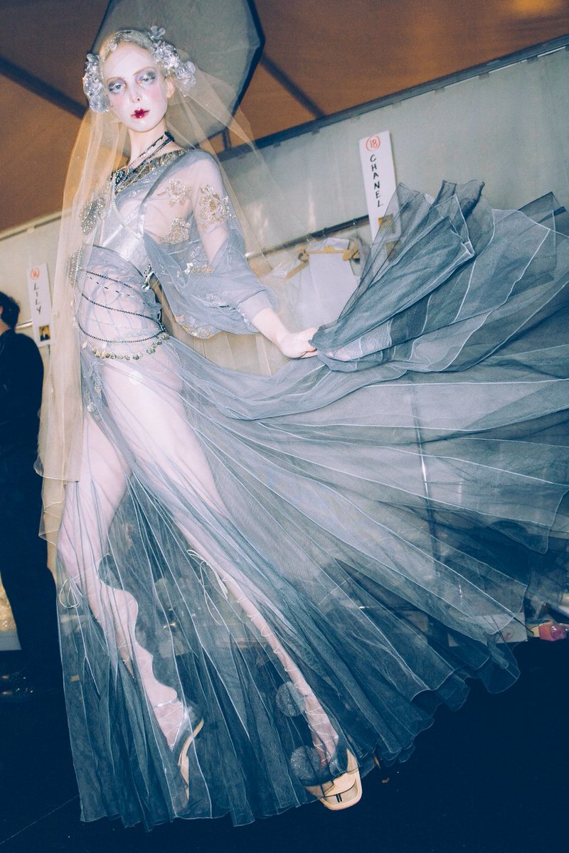 Aesthetic Sharer ZHR tweet media