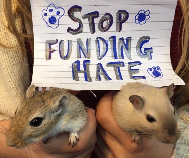 paws_for_effect's tweet photo. These pets support #BusterTheBoxer from last year's #JohnLewis advert. #StopFundingHate @StopFundingHate @johnlewisretail https://t.co/WJ1K79ZEAg