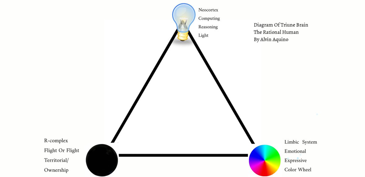 Magnitude Seven tweet media