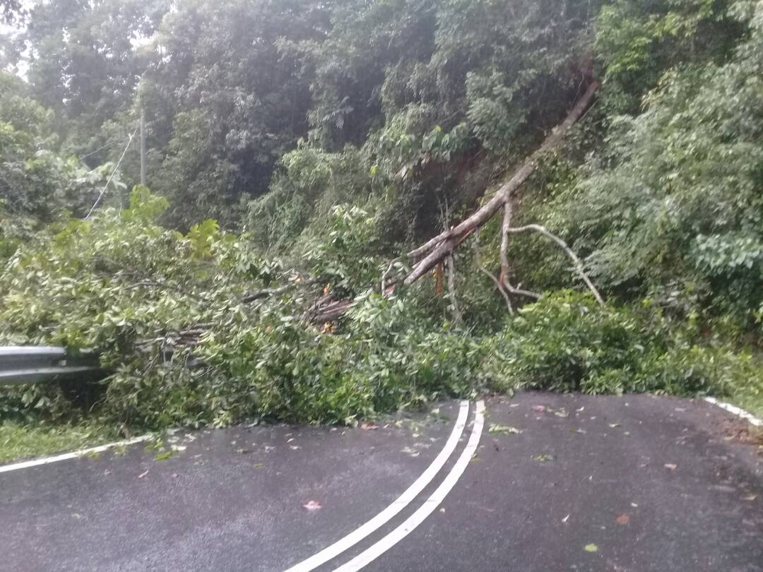 jkrkualapilah's tweet photo. Halangan di N141 Jalan Pelangai - Terentang, Kuala Pilah. Budaya Jasa Kepada Rakyat. @JKRMalaysia @saranidollah @RoslanMdTaha @JKRNS https://t.co/iGsoP5Ria7