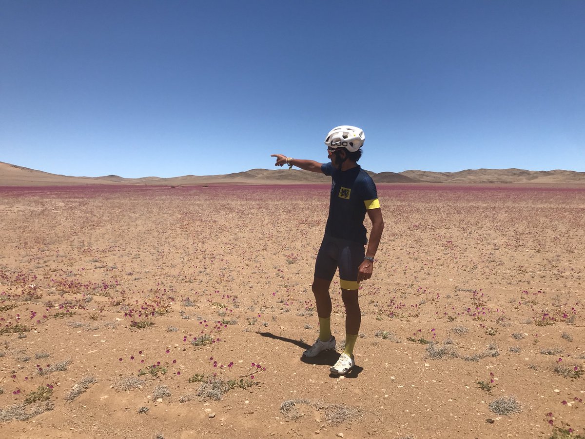 Este año pusimos jardín a la oficina en <a href="/Epica_Chile/">EpicaChile</a> ! #desiertoflorido #atacama 🗺😊