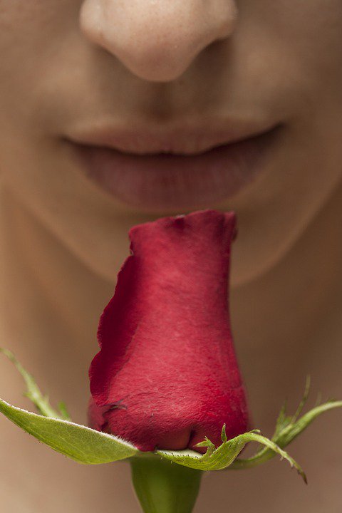VapelistaVaping's tweet photo. Not only do #Vapelista e-liquids taste great, they smell great too, and won't linger on you like cigarette tar! #LessDirtyMoreDior 👃 🌹 https://t.co/Z4ziSvZChY https://t.co/rJBYVZG8VF