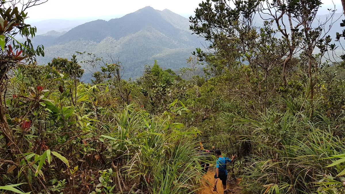 <a href="/twt_hikingMY/">Hiking Malaysia 🇲🇾🇵🇸</a> @twt_outdoor Tu ha Chemendong, takkan korang nak tgk je? Jom jom