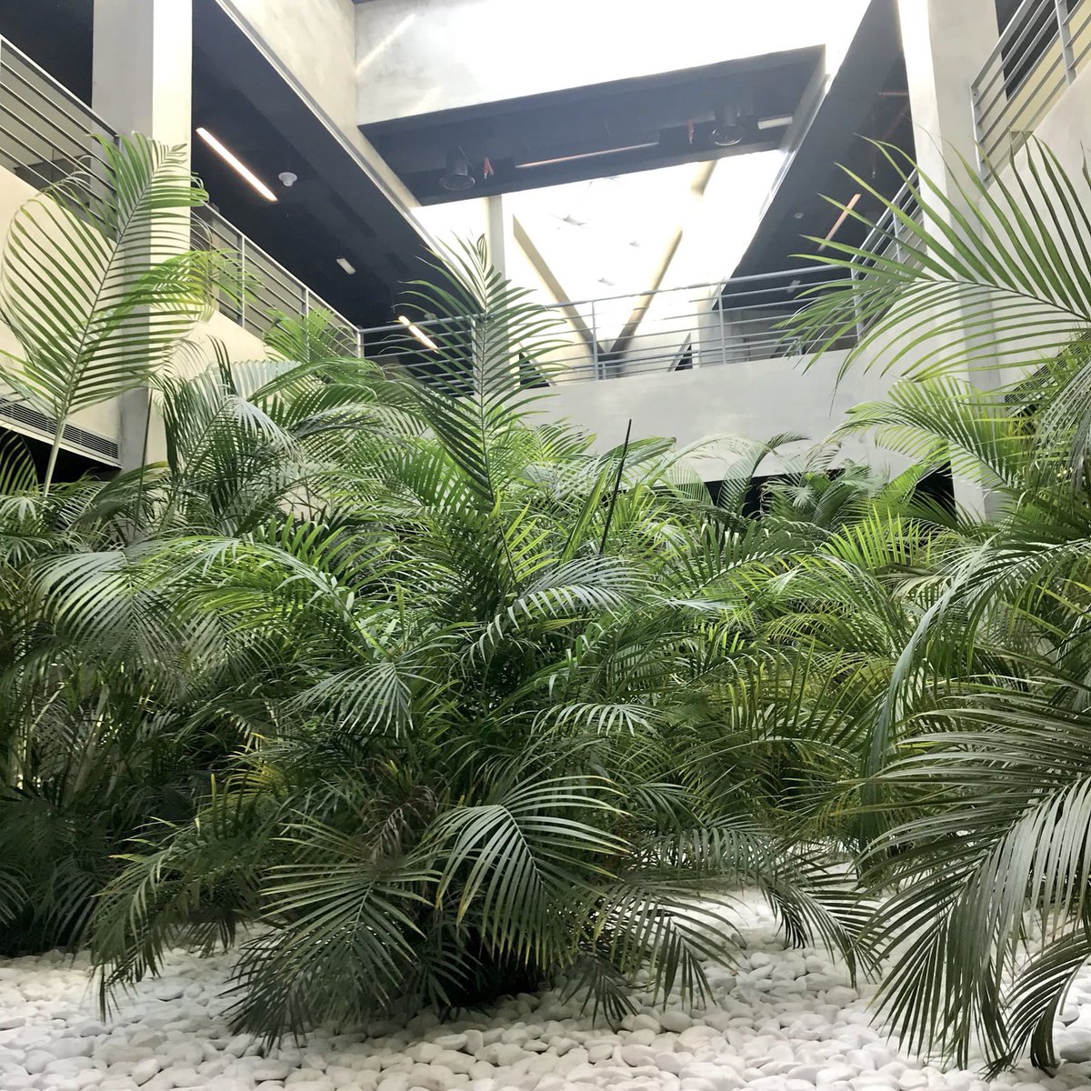Kuwaitkgbc's tweet photo. Kuwait GBC is working on advancing to Emerging status with Mohammad Asfour from World GBC. We met at the first Platinum LEED certified commercial interior in Kuwait. #kgbc #leed https://t.co/yY16YKrFJs
