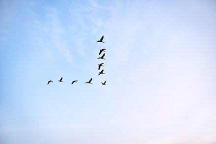 IDS INDATA tweet media