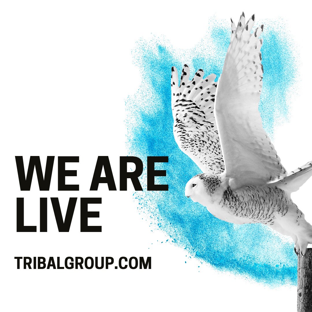 tribalgroup's tweet image. The wait is over! We are thrilled to have launched our new website bit.ly/2jpAs2w today! To see how we are #EmpoweringEducation every day, subscribe to our blog here: bit.ly/2jmoWVI