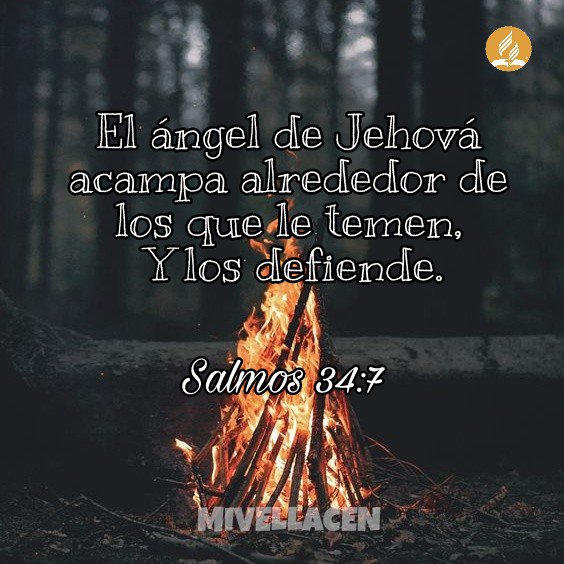 JesusBello04's tweet photo. Por eso soy un vencedor
#FelizMartes @mivellacen1 @Mayvii_D @nohebelandria @prietomoises https://t.co/2C1HrKJ8CM