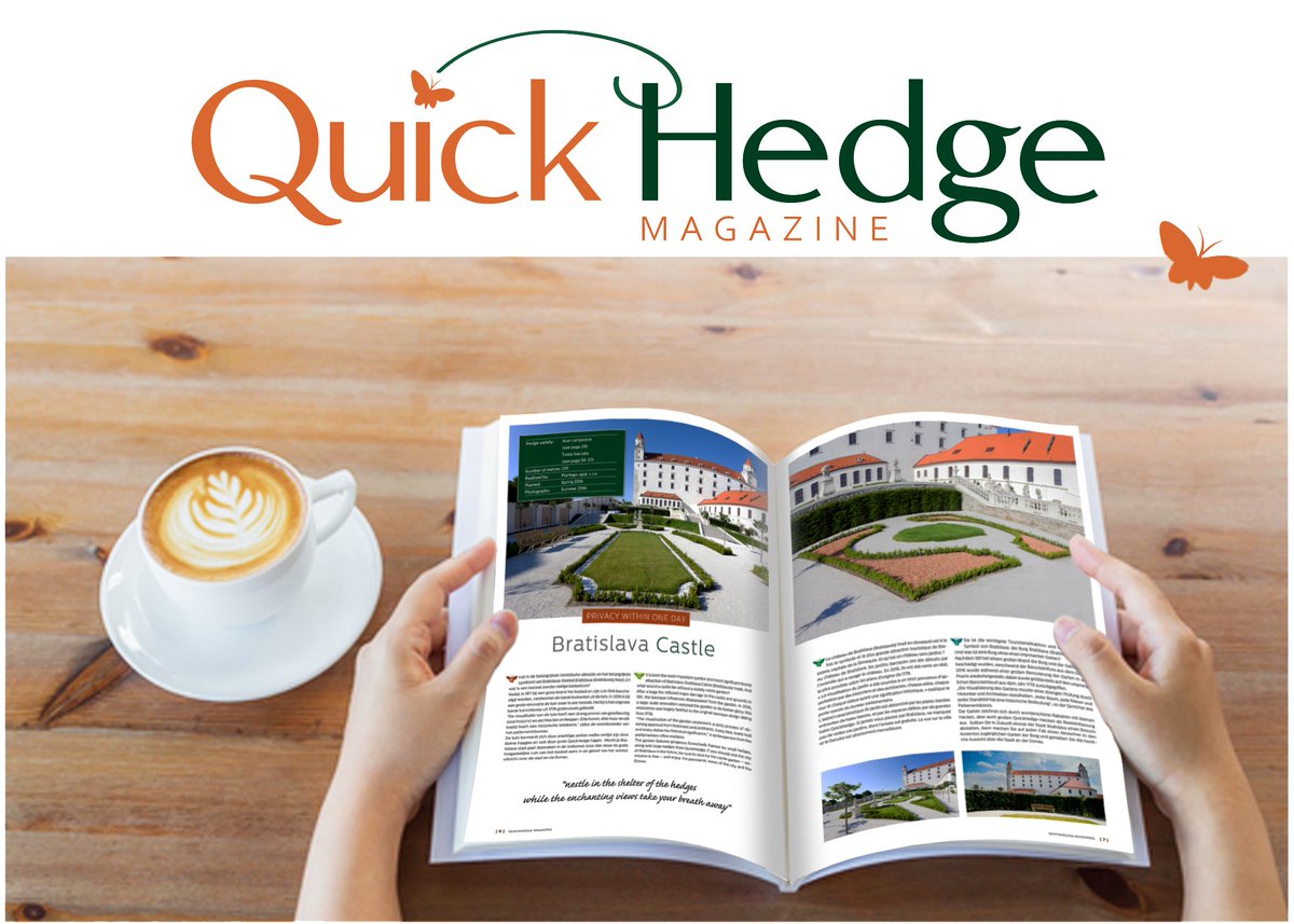 H O O R A Y !
Our new QuickHedge magazine is launched!
Will you let us know what you think about it?
Read more>>

mailchi.mp/6e81e020e949/h…