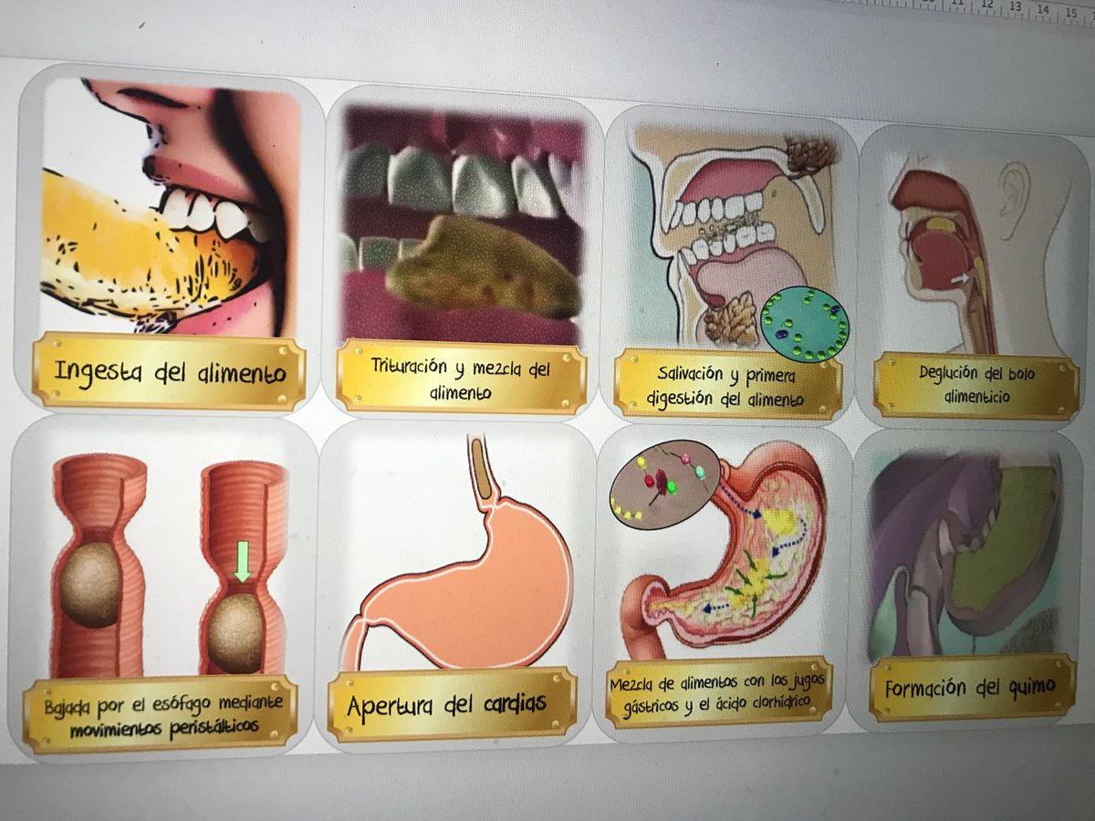 bioESOsfera's tweet photo. ¿Conocéis el juego de mesa #TimeLine? Pues diseñando uno sobre el proceso de digestión estoy #juegosenelaula https://t.co/mS0jIlP1gM
