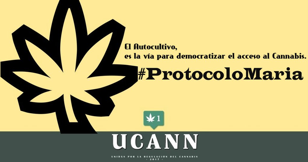 UCANN2017's tweet photo. Gracias a toda la gente que estais participando en #ProtocoloMaria la #unioncannabica hace la fuerza https://t.co/epe5A8q5KJ