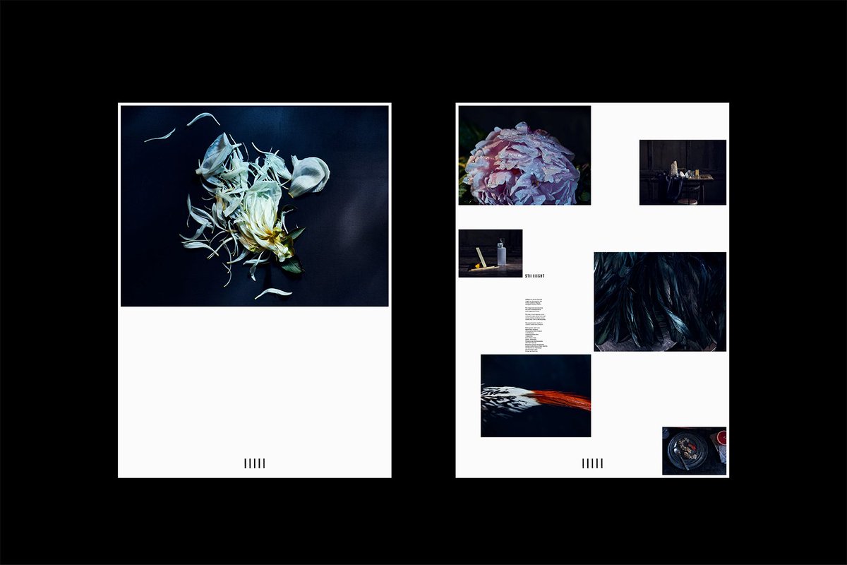 The Brand Identity tweet media