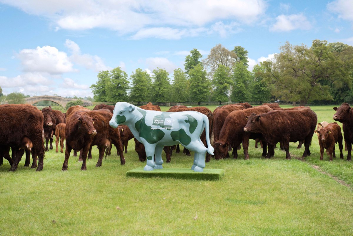 #TuesdayThoughts | Michaela has had a very busy year on parade around #MiltonKeynes to mark #MK50, all the while raising money for #charity. This Thursday, she'll be at <a href="/HerdAboutMK/">Herd About MK</a> Gala Dinner to mark the end of a mooovellous year!