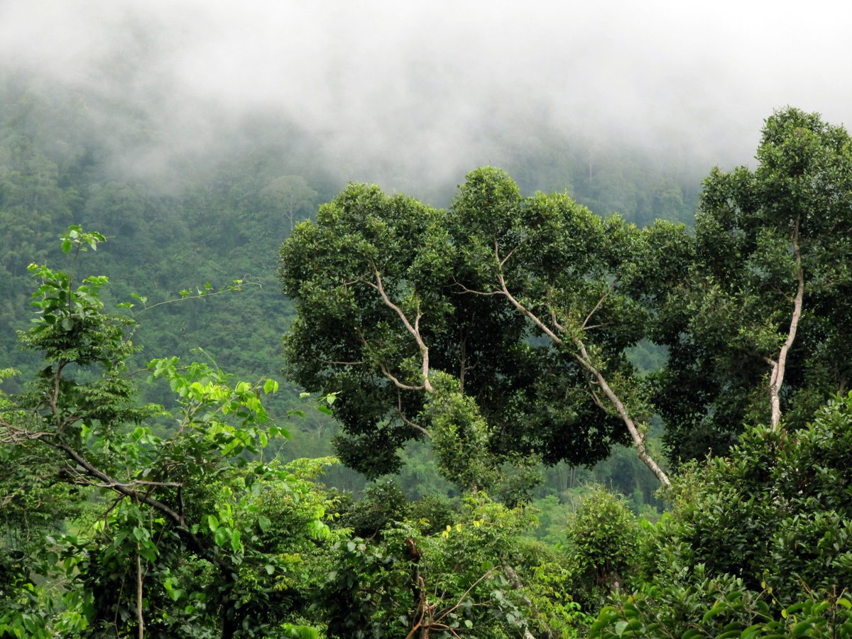 Two more weeks to register for #ESPcon9! Join the #ecosystemservices community this December in China! 30 sessions on various ES topics, an ES matchmaking fair and prominent keynote speakers from different parts of the world!
espconference.org/espconference2… #environment #landscapes