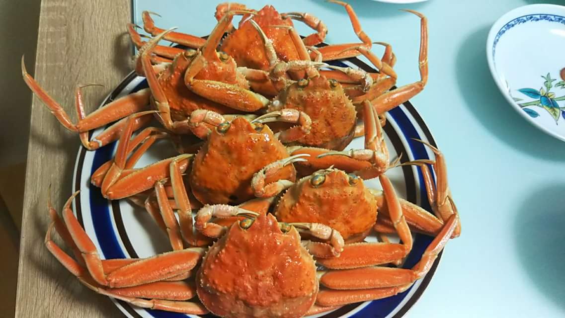 リブちゃんもカニ食べてるかな Twitter Search Twitter