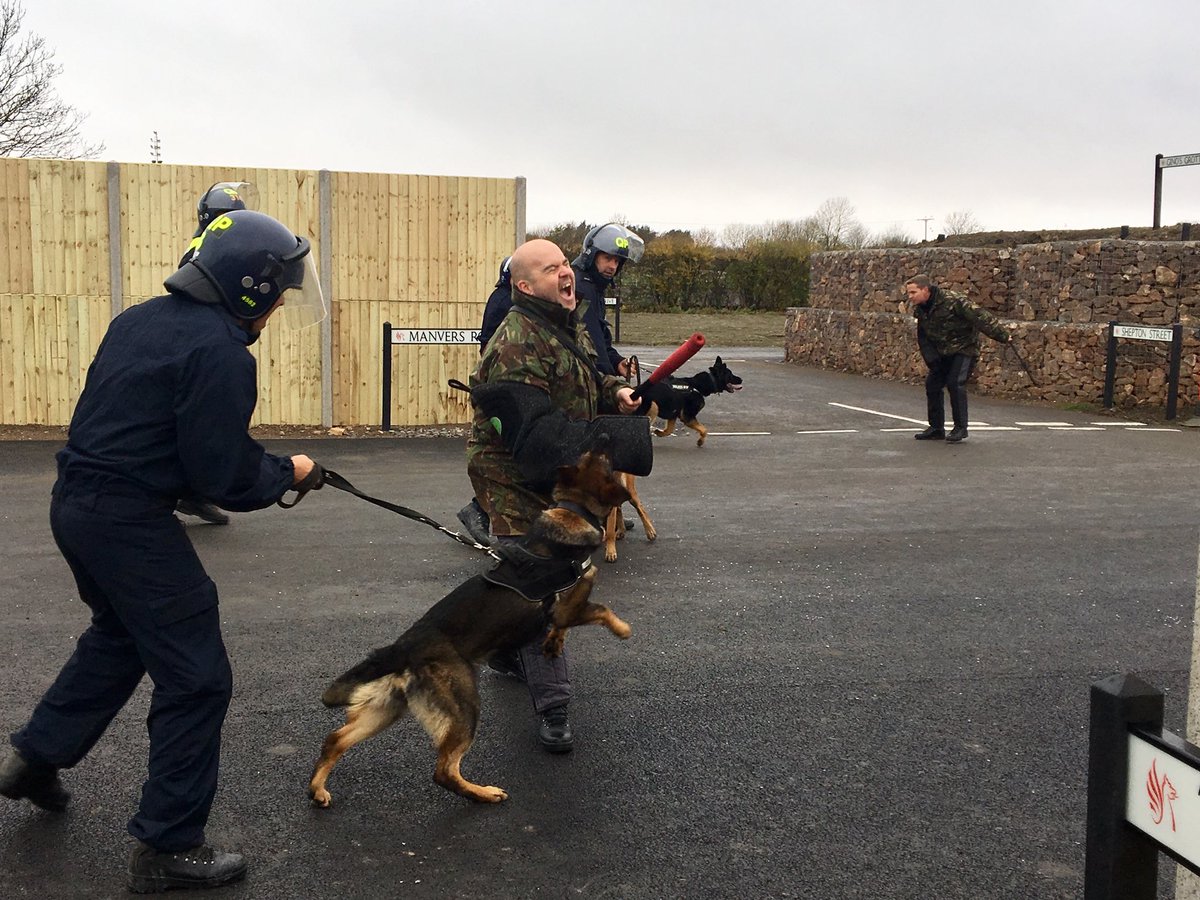 CliveBushMInSTR's tweet photo. Day two, Dogs and baton strikes 💥 #justifiedforce @ASPOps_Training @ASPolice @ASPoliceOST @TriforceDogs https://t.co/ZbsUuEHi5A