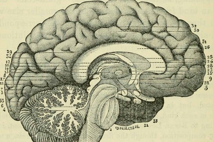 Ronald van Loon tweet media