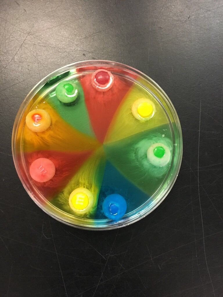 kjenqueen's tweet photo. #RMSproud  Our students attending a Science night at F&amp;M College last night. Science Rocks! https://t.co/F8Ner3Oa7a