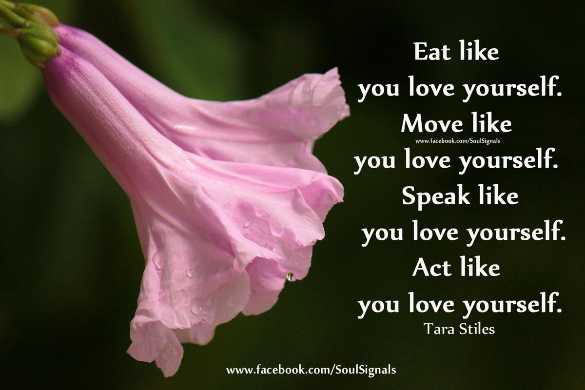 Soul_Signals tweet picture