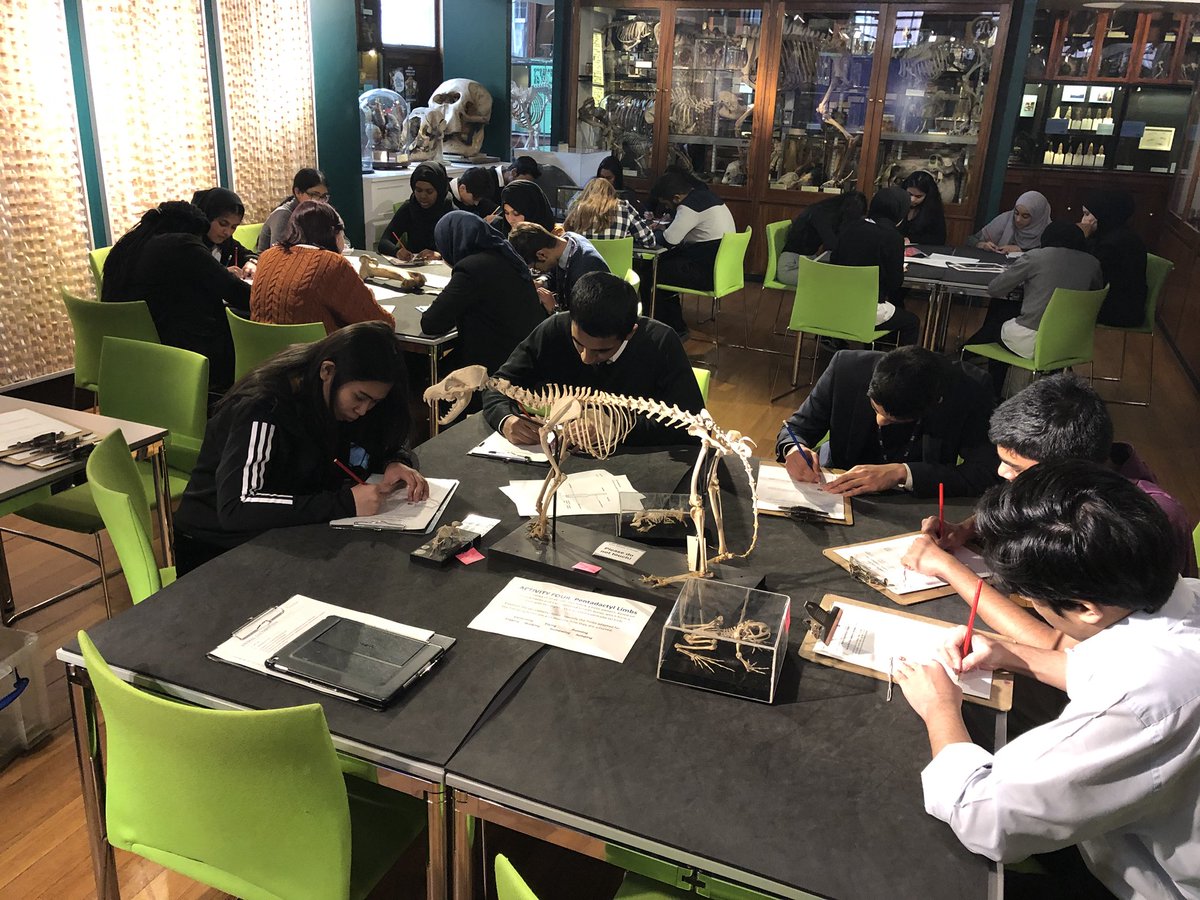 school21science's tweet photo. @Six21_uk Biology, Physics, Maths and computing students at the @GrantMuseum today for a bio-robotics workshop. @school21_uk https://t.co/1AfbJGRkOL