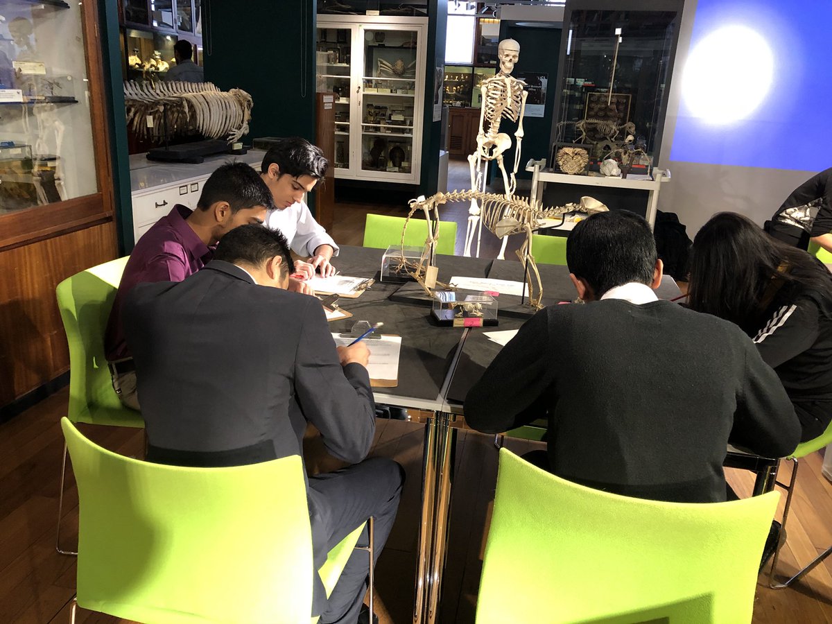 school21science's tweet photo. @Six21_uk Biology, Physics, Maths and computing students at the @GrantMuseum today for a bio-robotics workshop. @school21_uk https://t.co/1AfbJGRkOL