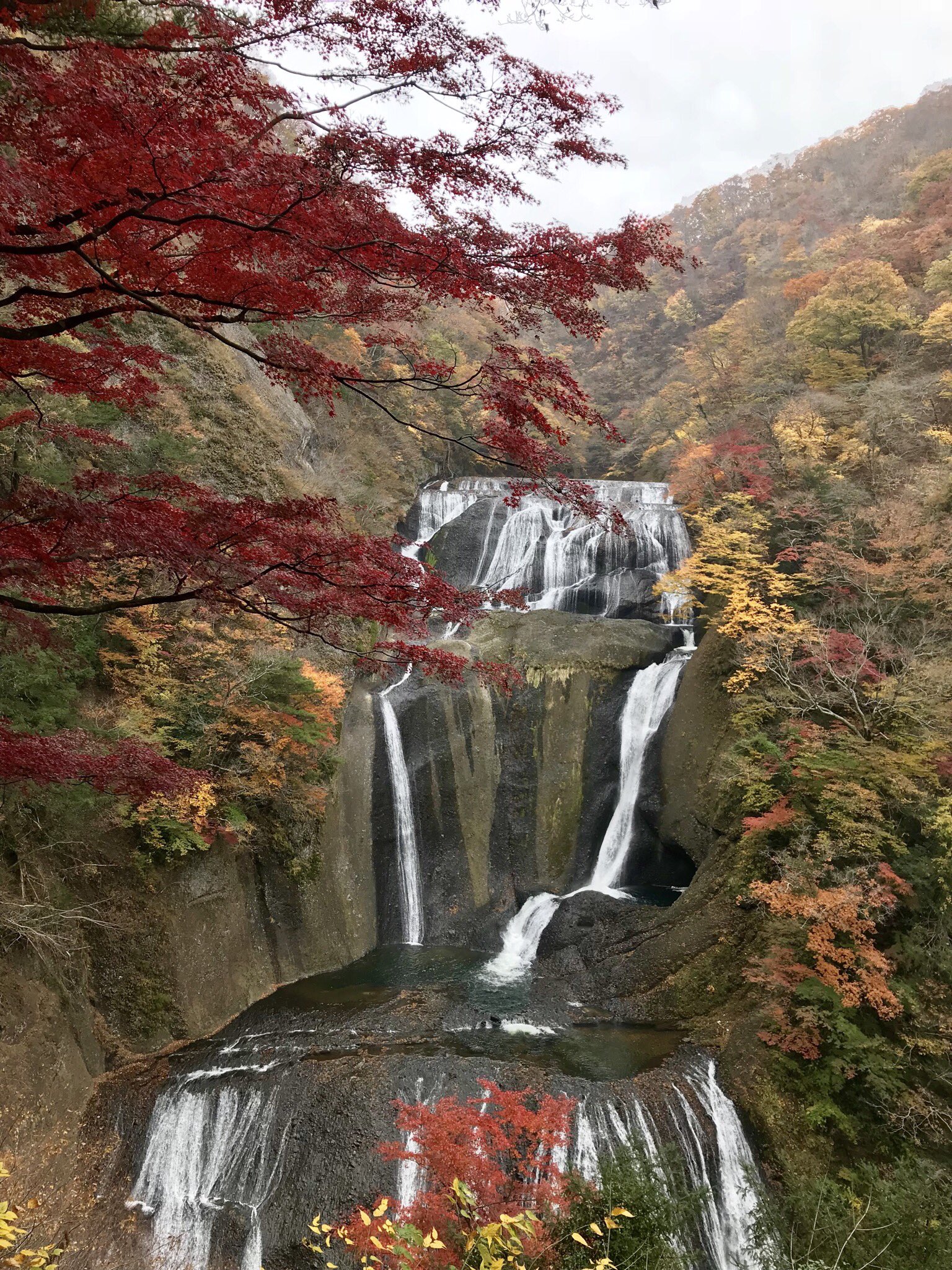 紅 今日の袋田の滝 今週が紅葉のピークかな お天気が良かったらもっと綺麗だろうね バスツアーがたくさんきてましたよ でも平日だから混雑なしです 常陸大子 袋田の滝 紅葉 T Co Ce3oeag2tq Twitter