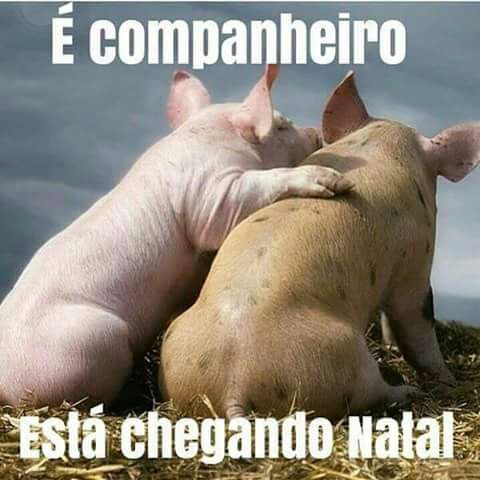 Adão #Beta (@adao1975c) on Twitter photo 