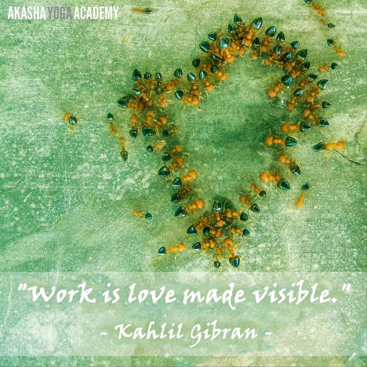 AkashaAcademy's tweet photo. QUOTE OF THE WEEK
https://t.co/nv1o4oX1B3

"Work is love made visible."
 - Kahli... https://t.co/cRgYITEkxf https://t.co/XlD8KJ15h2