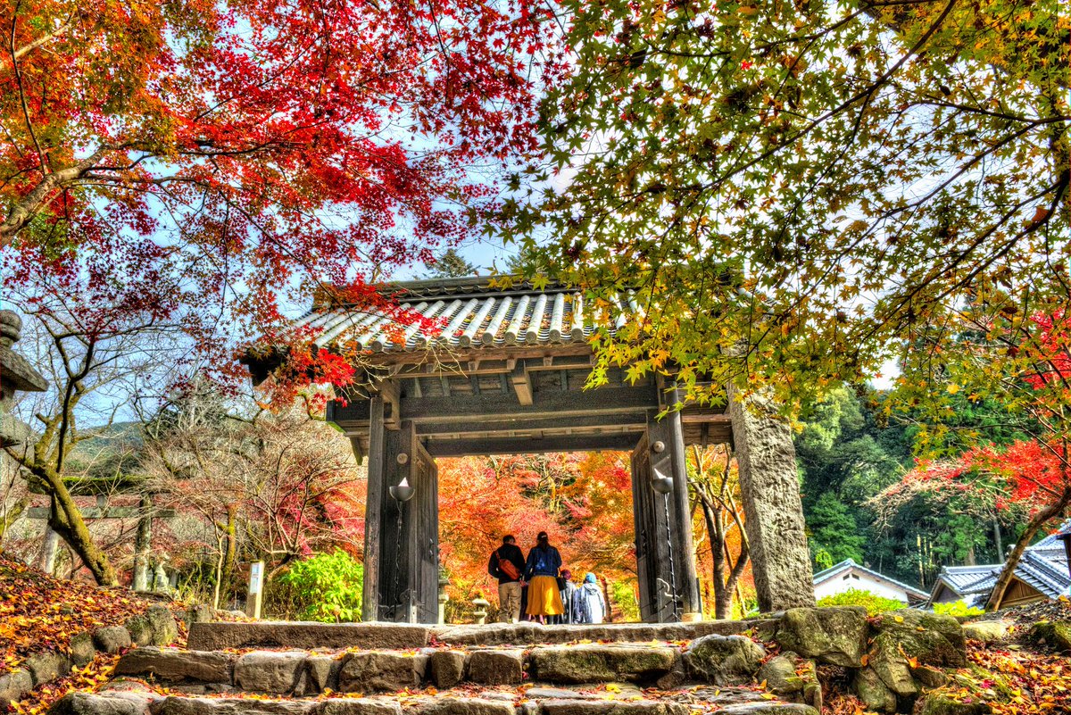 ট ইট র 朝倉カエル 災害支援 朝倉市の観光名所 秋月の紅葉が色づき始めたみたいです 秋月は豪雨による被害はほとんど無かったものの 観光客減少などの影響が出ています 博物館もオープンしたばかりなので 観光にぜひ 紅葉情報 T Co ট ইট র 朝倉カエル 災害支援 朝倉市の観光名所 秋月の紅葉が色づき始めたみたいです 秋月は豪雨による被害はほとんど無かったものの 観光客減少などの影響が出ています 博物館もオープンしたばかりなので 観光にぜひ 紅葉情報 T Co