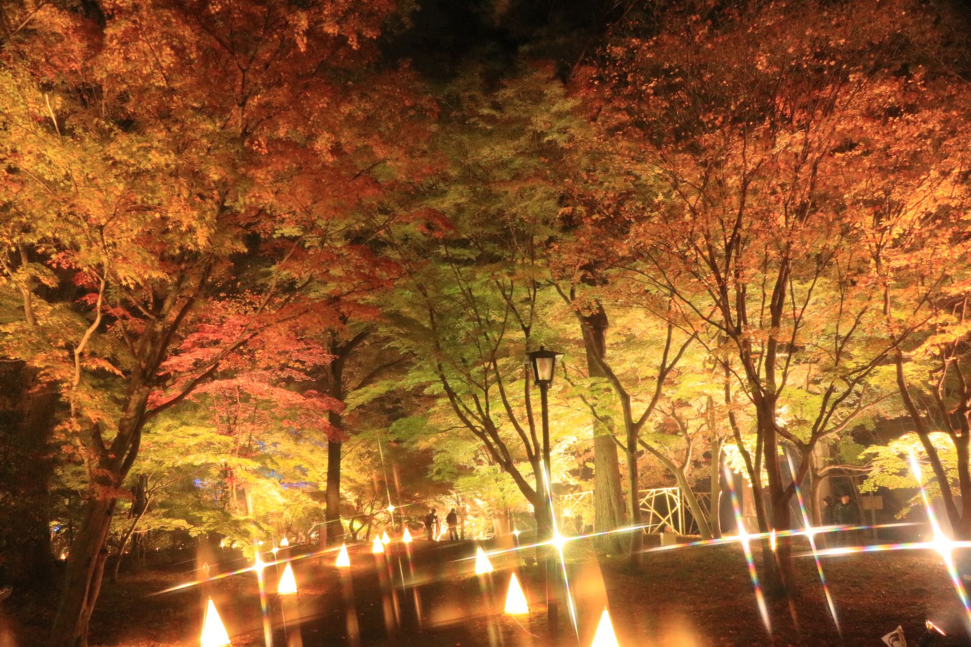 紅葉見ナイト Twitter Search Twitter