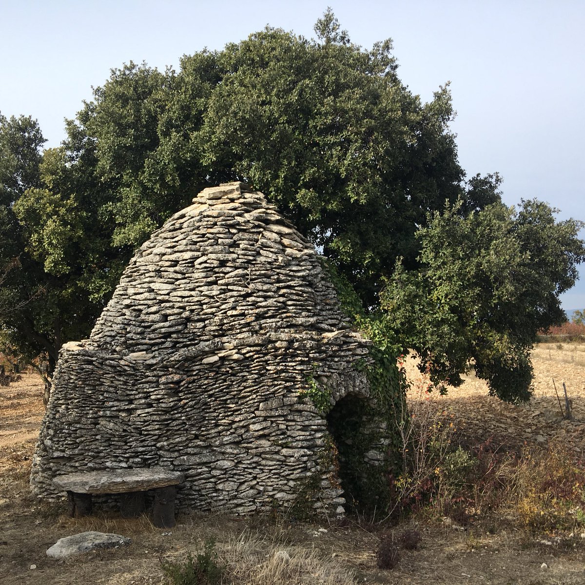 My_L_Chauffeur's tweet photo. The #borie is one of the most #fascinating things of#provence ! #human #hand  #huts #france #autumn #fall #oaktrees @My_L_Chauffeur https://t.co/VvicbtbwBK