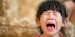 Dr. Rebecca Pillai Riddell, CPsych, FCAHS tweet media