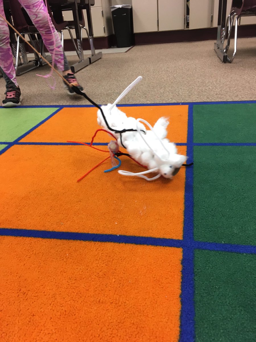 JillJensenIDEAS's tweet photo. 2nd gr @GlacierHills tested model 1 of hitchhiker seed dispersal>obs; think, improve #k12engineering https://t.co/YM9LK6ZQ33