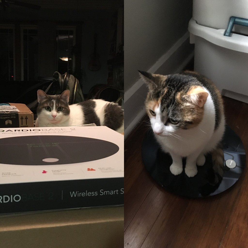 keeprunningcle's tweet image. Feeling Good keeprunningcle.com/2017/11/14/fee…