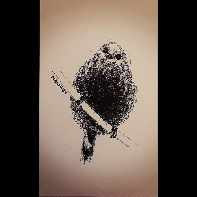 maxmkimart's tweet photo. Grew my wings, Flew away, Built my own nest.
#bird #wings #cute #nature #view #photography #art #drawing #sketch #pendrawing #doodle #balckandwhite #ink #artist #musician #producer #lifestyle #life #passion #inspiration #music #city #nyc #newyork #ny #nj #view #streetart #street https://t.co/jhbcQK8rmj