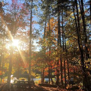 EgreenMarriott's tweet photo. Fall looks good on you, @StoneMtnPark. Views like this make a picnic with our Fresh Bites meals even better. https://t.co/EIRjgeZ8cw