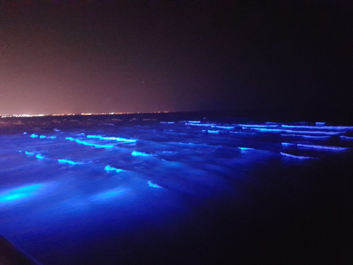 M_Municipality's tweet photo. #Muscat_Municipality Lights 1800m of Al-Qurum Beach with multi-colored LED lighting in line with 47th National Day of the Sultanate https://t.co/wyt3pQN50j