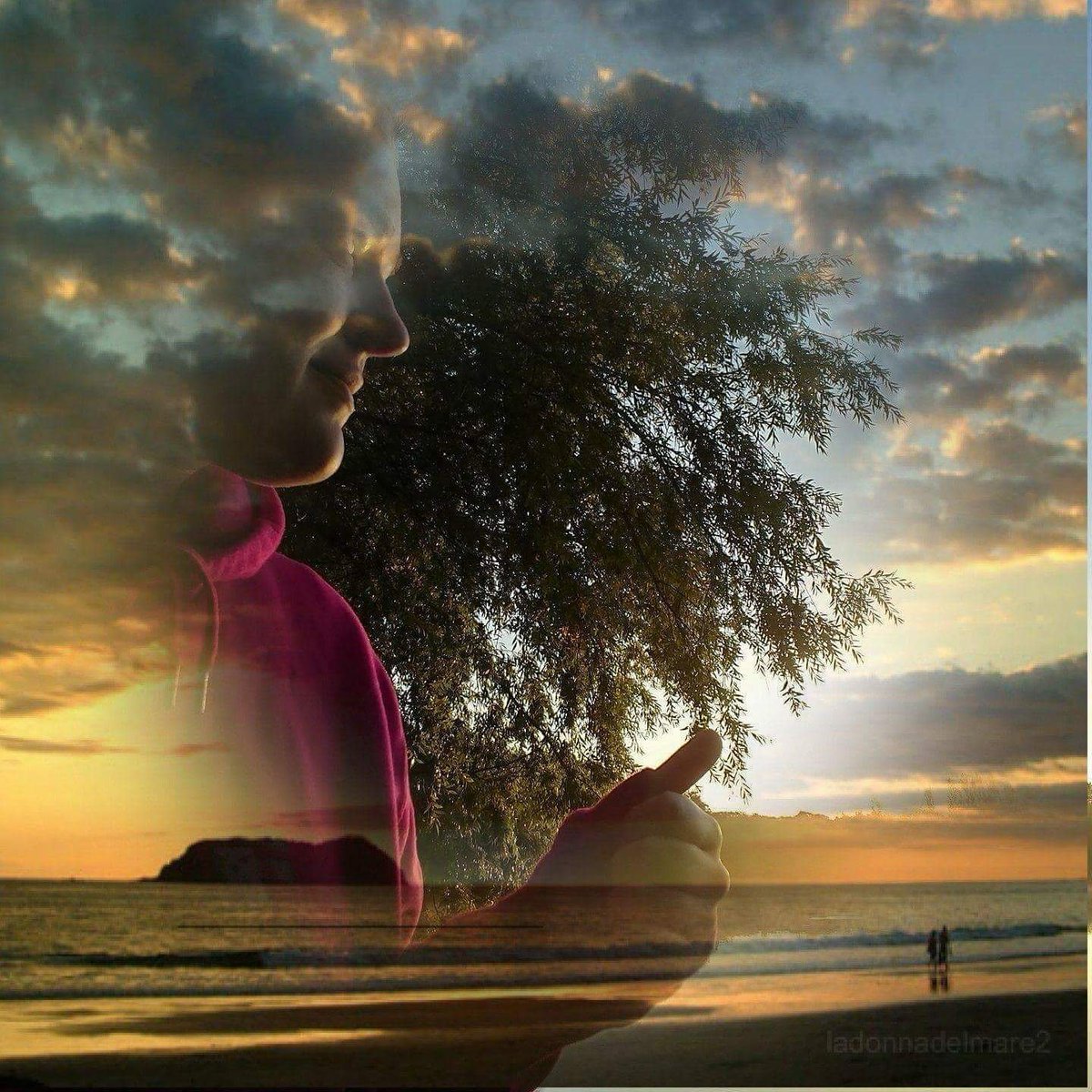 celine lesieur (@cacouette36) on Twitter photo 