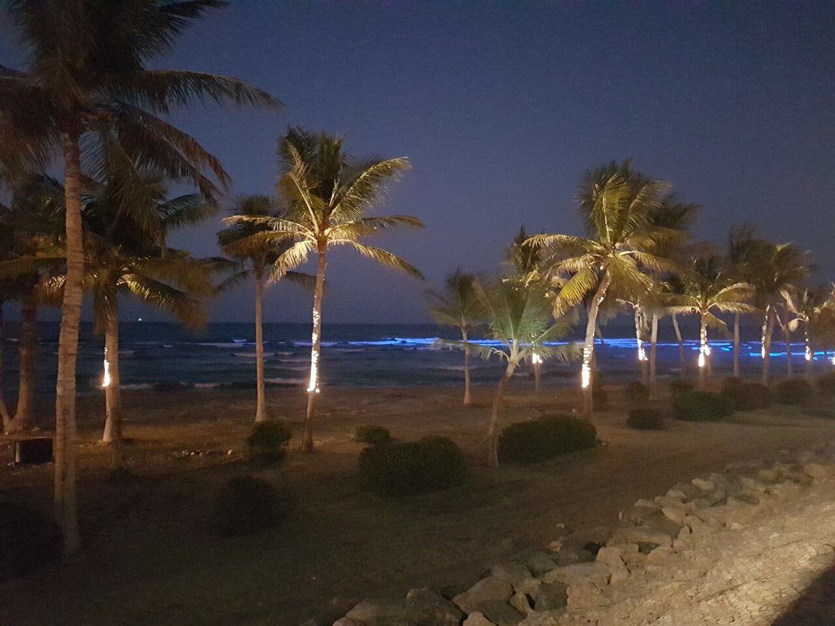 M_Municipality's tweet photo. #Muscat_Municipality Lights 1800m of Al-Qurum Beach with multi-colored LED lighting in line with 47th National Day of the Sultanate https://t.co/wyt3pQN50j