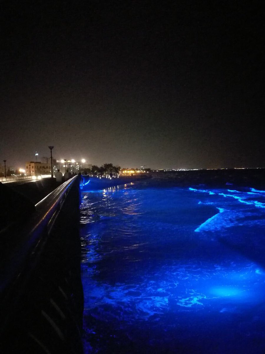 M_Municipality's tweet photo. #Muscat_Municipality Lights 1800m of Al-Qurum Beach with multi-colored LED lighting in line with 47th National Day of the Sultanate https://t.co/wyt3pQN50j