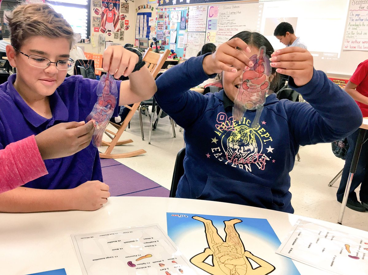 mrswaltersPE's tweet photo. Playing "SomeBody" to learn about where our organs are located and discussed their functions!💪🏼 @MDE_Stars #humanbodyunit https://t.co/S3Kc7QKRvb
