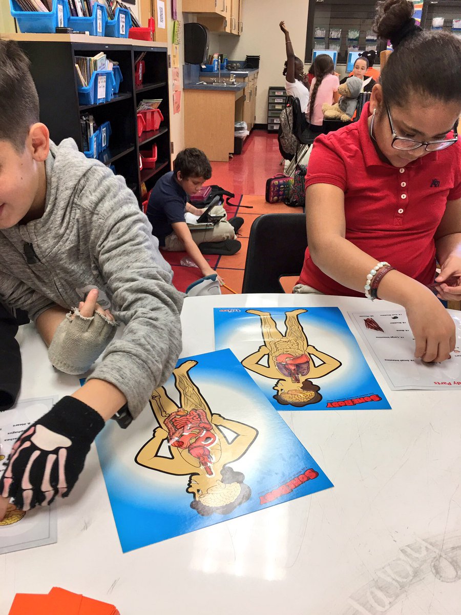 mrswaltersPE's tweet photo. Playing "SomeBody" to learn about where our organs are located and discussed their functions!💪🏼 @MDE_Stars #humanbodyunit https://t.co/S3Kc7QKRvb