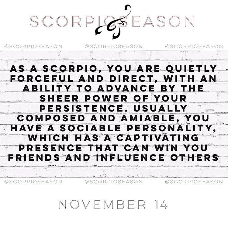 ScorpioSeason's tweet photo. ScorpioSeason | November 14

As a Scorpio, you are quietly forceful and direct, with an ability to advance by the … https://t.co/wWTYH6VYbi https://t.co/sKUqXytdkr